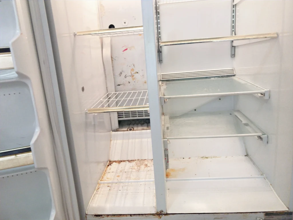 Learn how to clean and organize your refrigerator with this complete guide to keep it hygienic, efficient and odor-free.